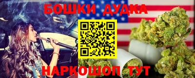 индика Ирбит