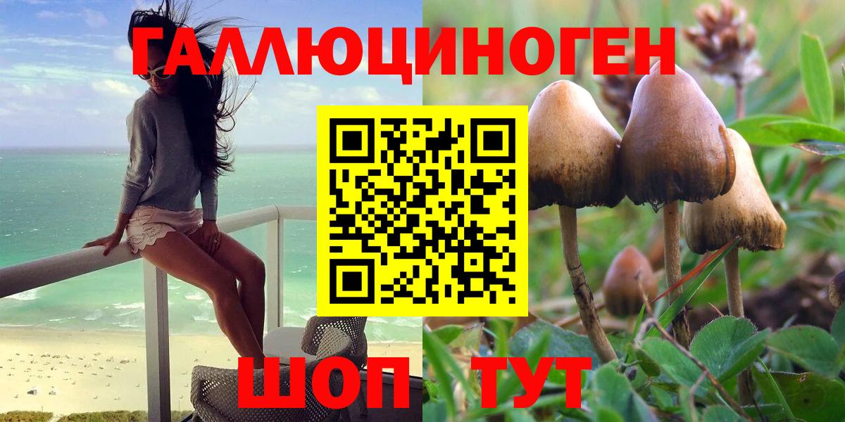 Галлюциногенные грибы Psilocybine cubensis Луховицы