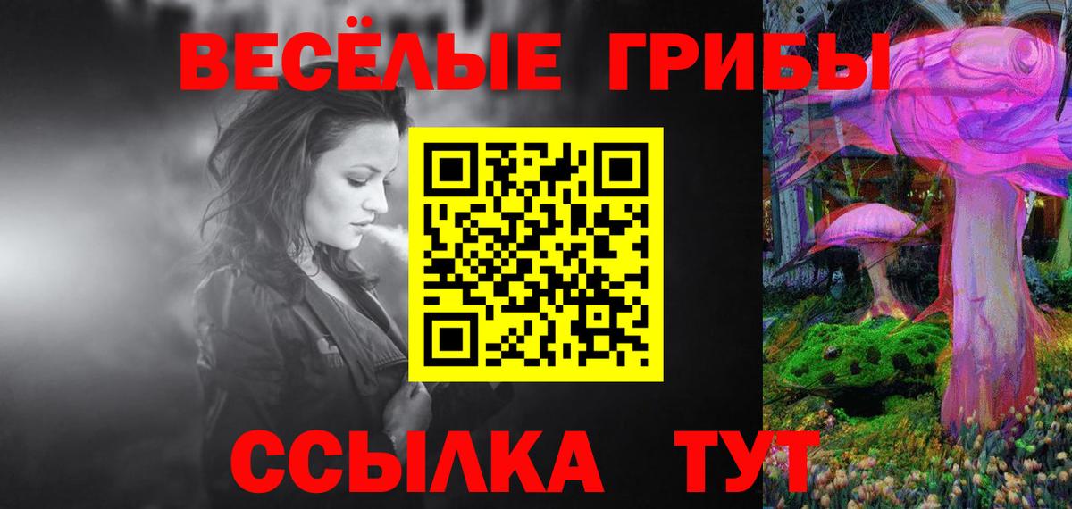 Псилоцибиновые грибы Psilocybine cubensis  Вход с VPN  закладки  Луховицы 